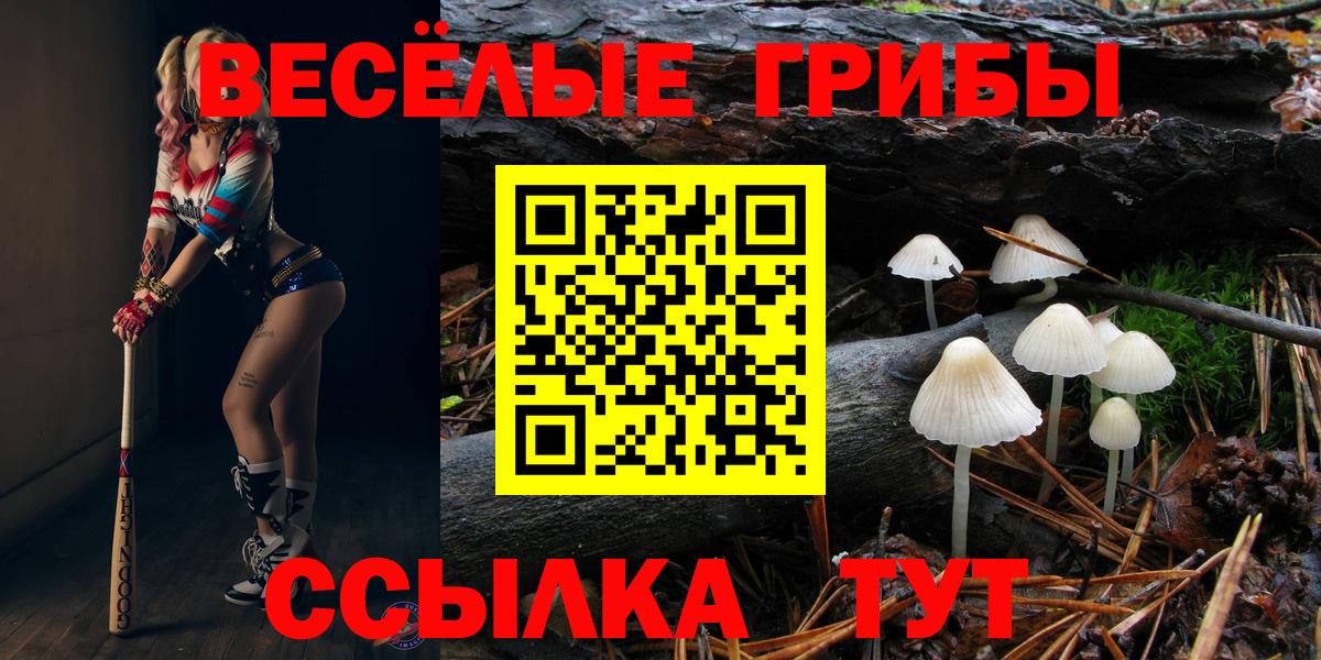 сколько стоит  Вход с VPN  Шелехов  Галлюциногенные грибы ЛСД 