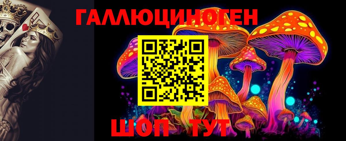 Псилоцибиновые грибы мицелий Шелехов